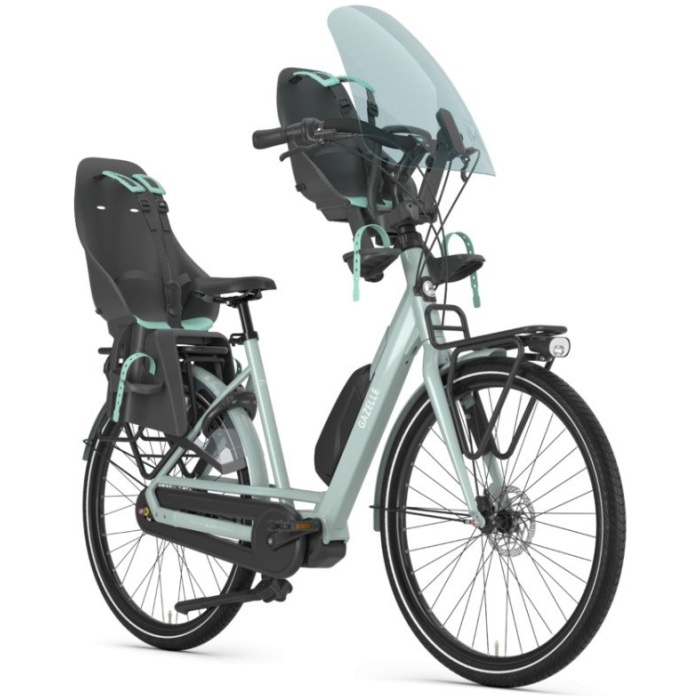 Gazelle Bloom C7 Light Olive Glans DAMES 2021