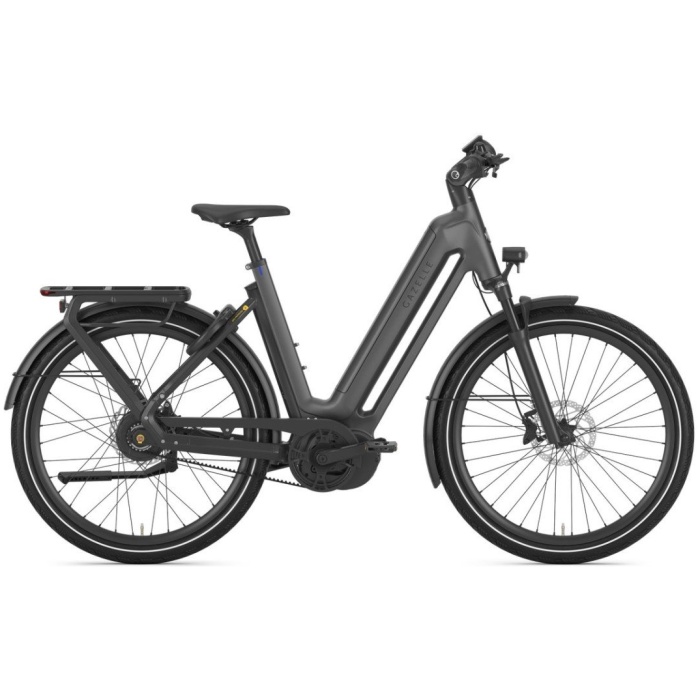 Gazelle Eclipse C380 Anthracite Grey Mat DAMES 2024