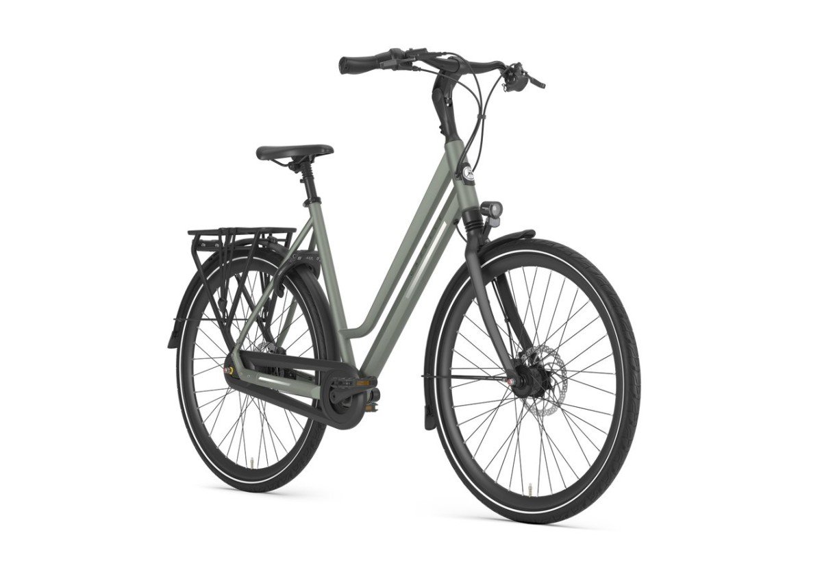 Gazelle Chamonix C8 Clay Green Mat DAMES 2024 - Afbeelding 3