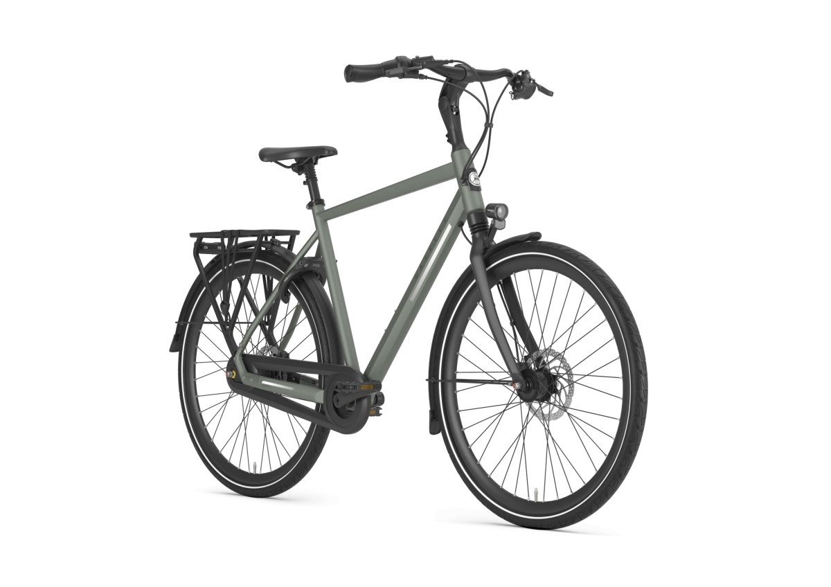 Gazelle Chamonix C8 Clay Green Mat HEREN 2024 - Afbeelding 2